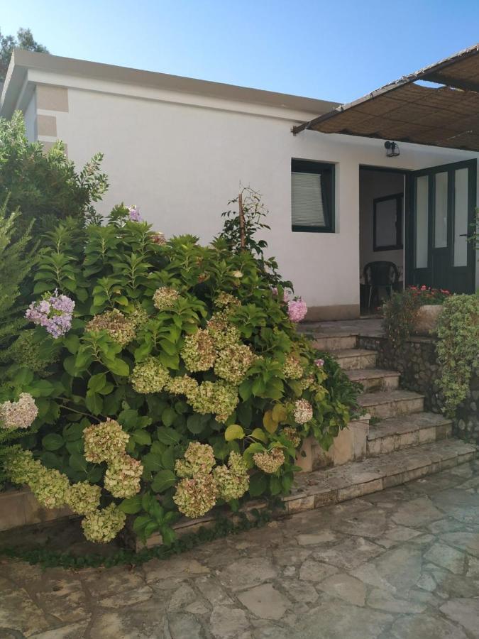Kjara Apartments Tivat Exterior foto